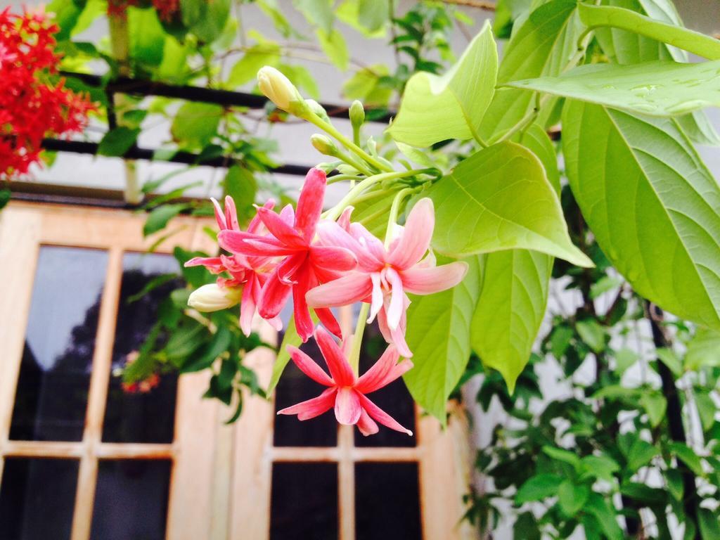 Manik Home Stay Kudapaduwa Exterior photo